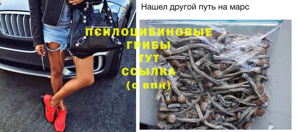 ГАЛЛЮЦИНОГЕННЫЕ ГРИБЫ Бикин