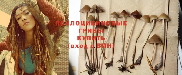 герыч Аркадак