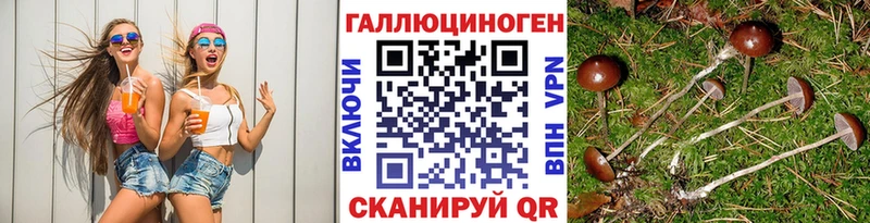 продажа наркотиков Жигулёвск Галлюциногенные грибы Psilocybine cubensis